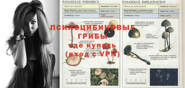 мяу мяу мука Покровск